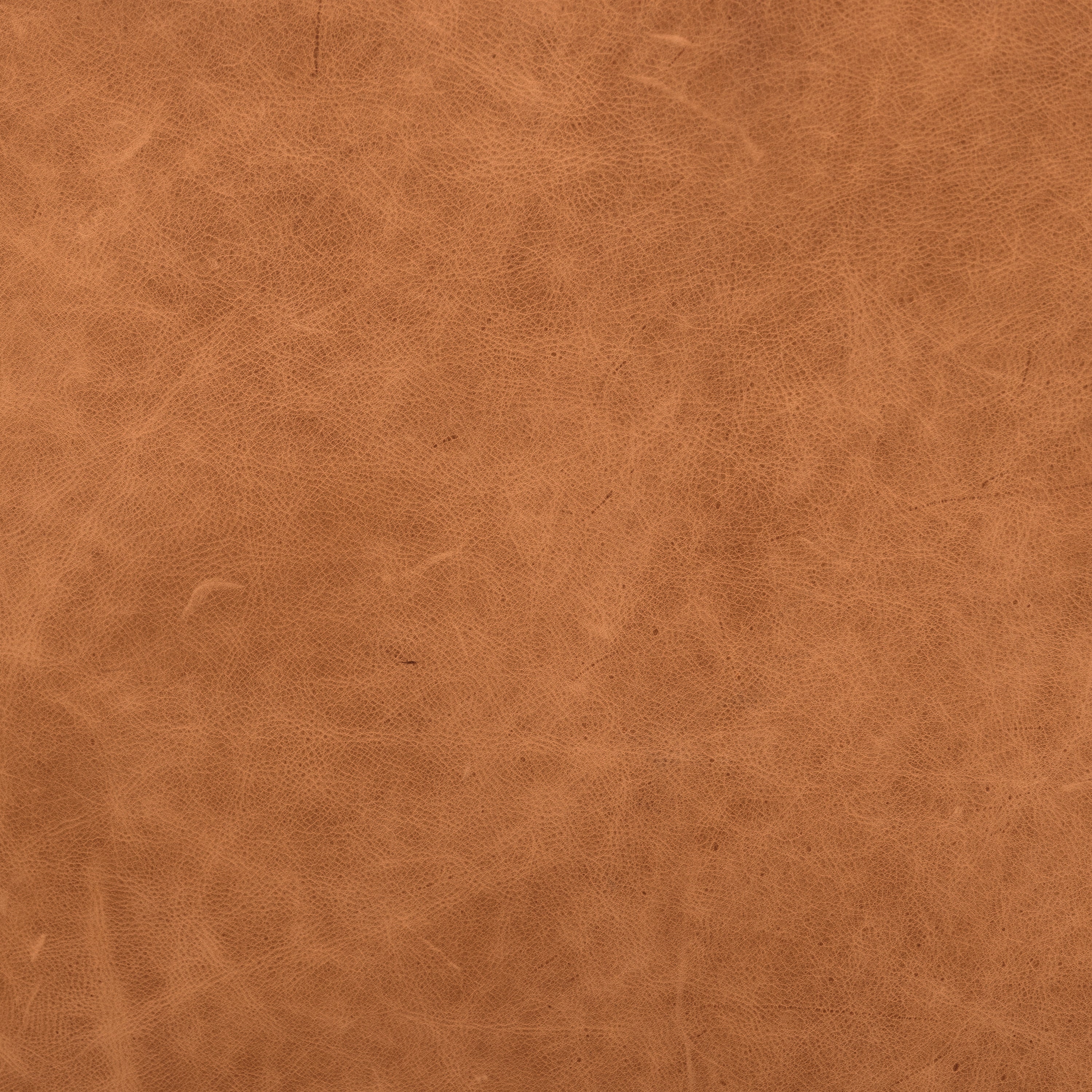 Bo Leather Lounge Chair | Cognac Tan - Image 16