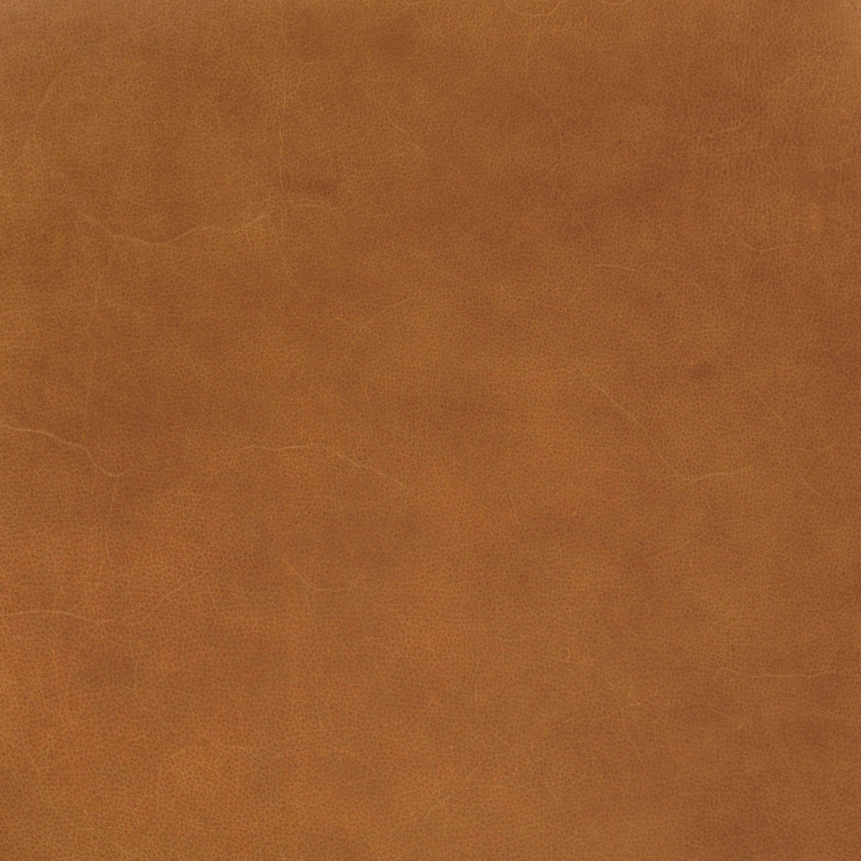 Bosco Leather Lounge Chair | Saddle Tan - Image 15
