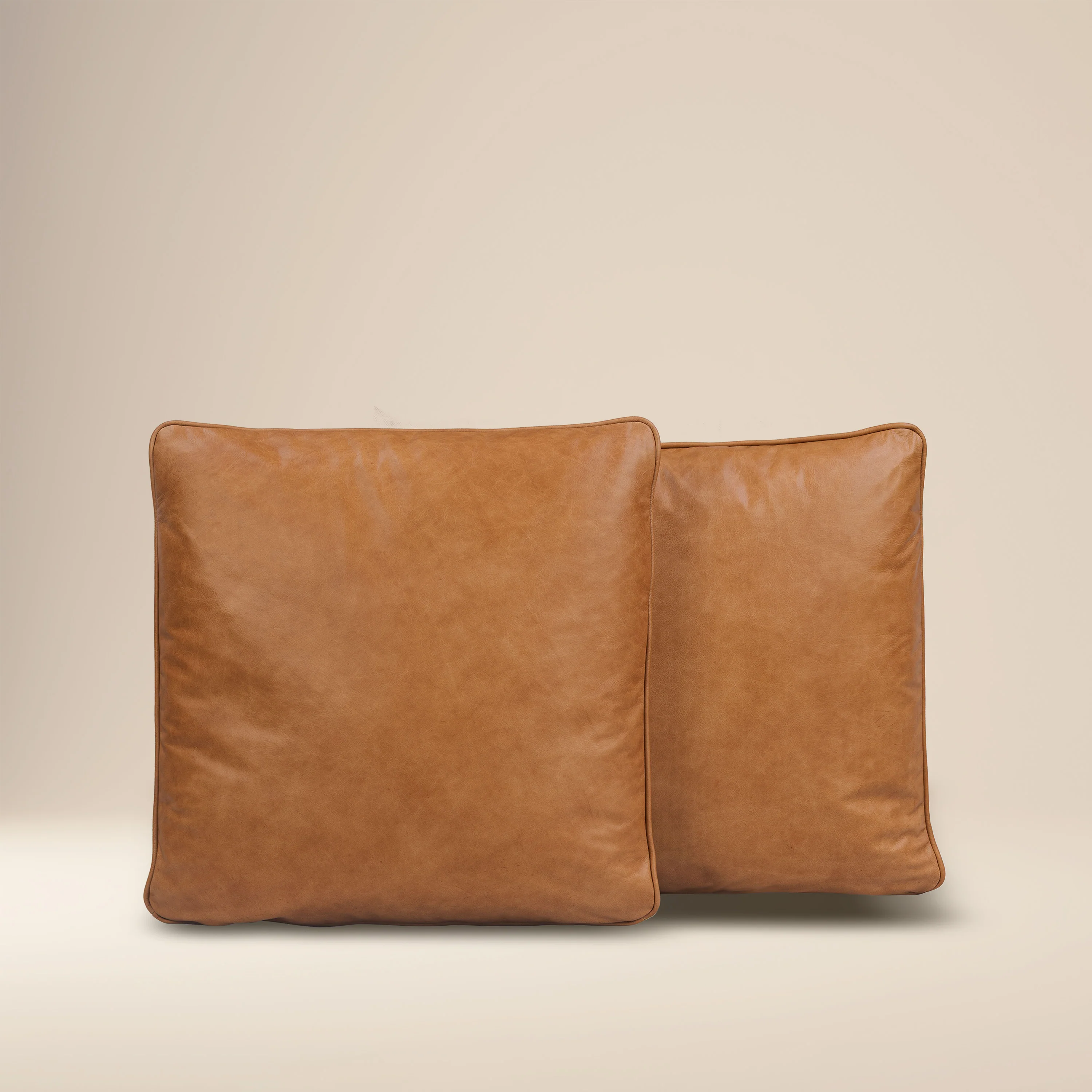 Dobla Throw Pillow | Bourbon Tan/Aspen White | Set of 2