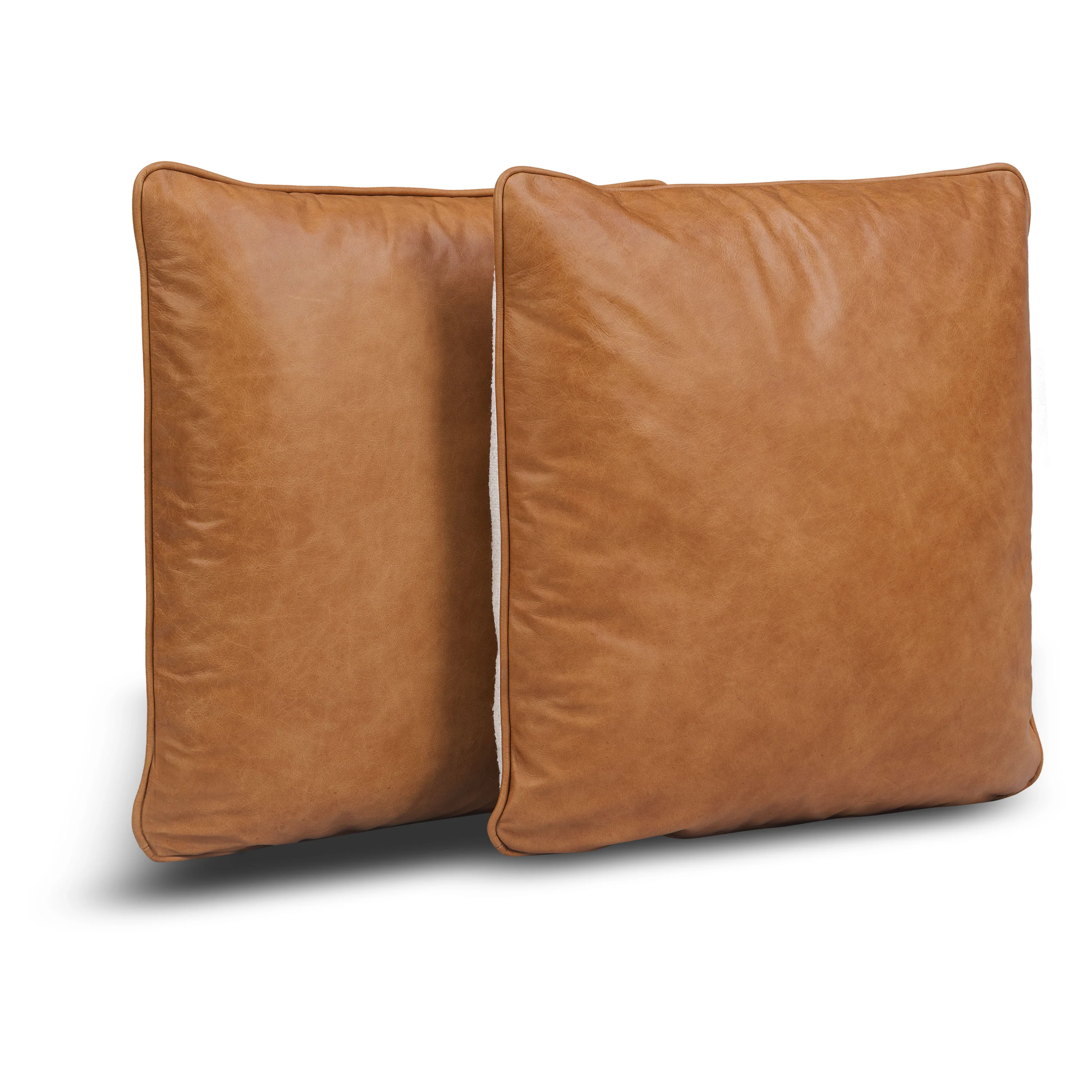 Dobla Throw Pillow | Bourbon Tan/Aspen White | Set of 2 - Image 3