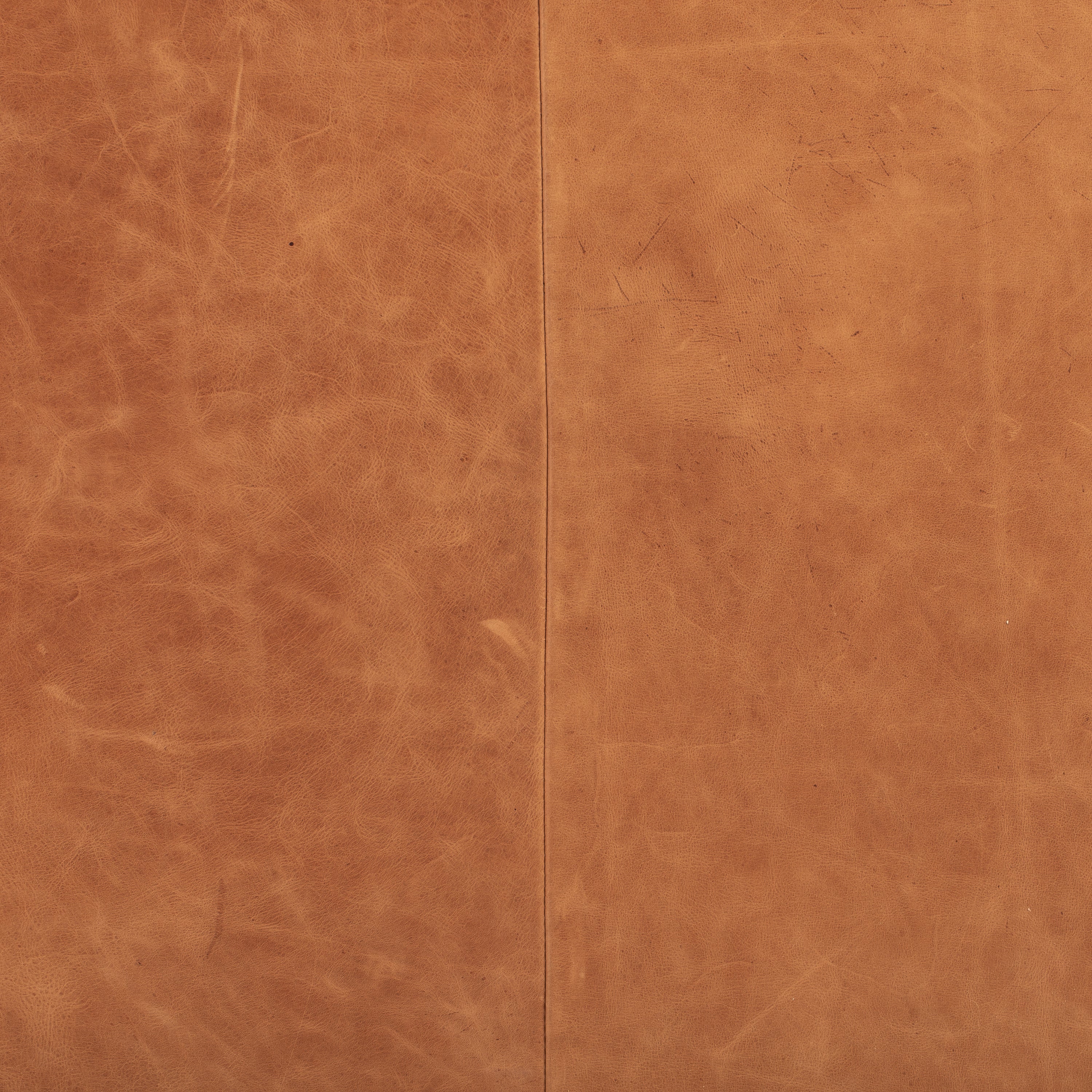 Essex Leather Lounge Chair | Cognac Tan | Set of 2 - Image 14