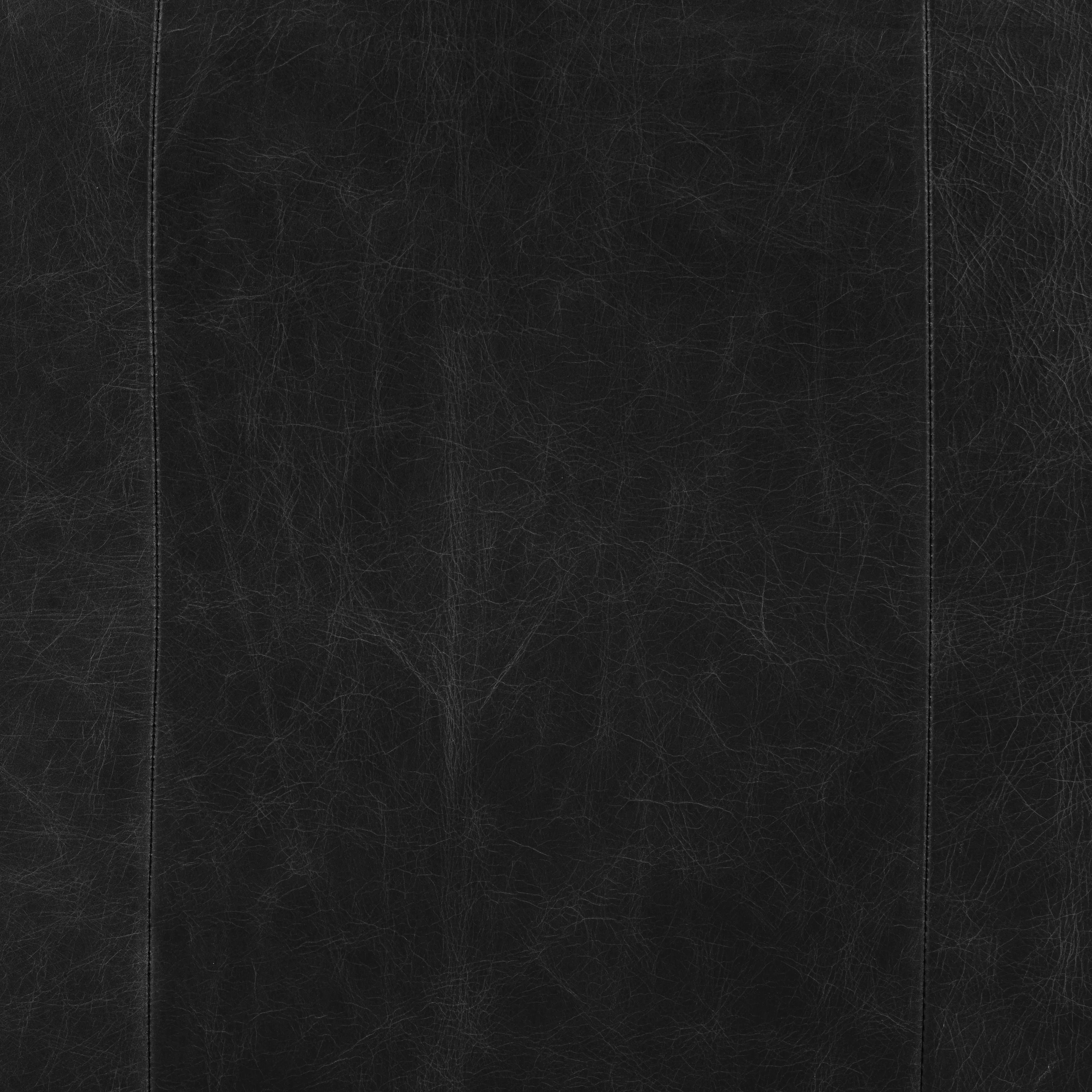 Essex Leather Lounge Chair | Onyx Black | Set of 2 - Image 13