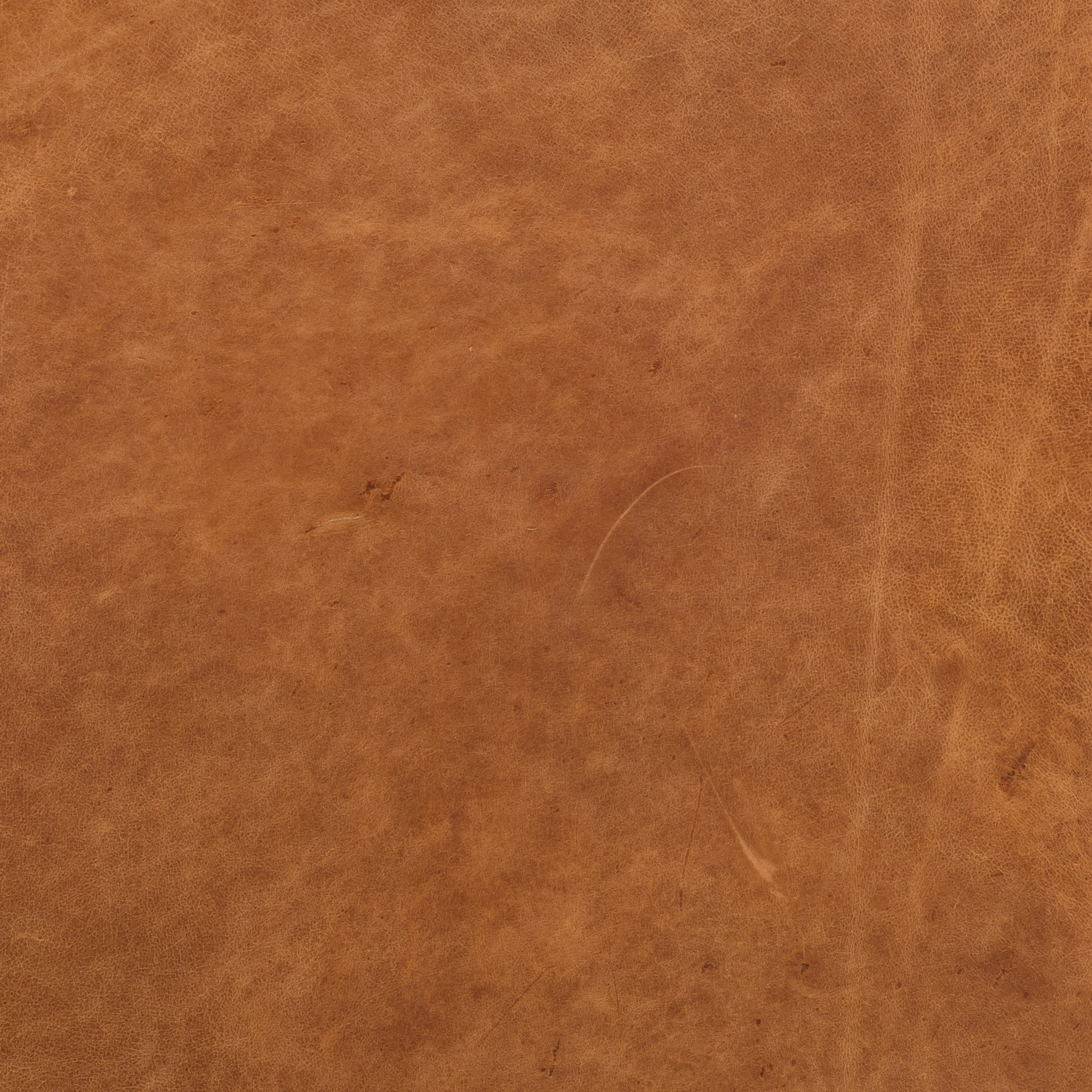 Essex 89" Leather Sofa | Cognac Tan - Image 12