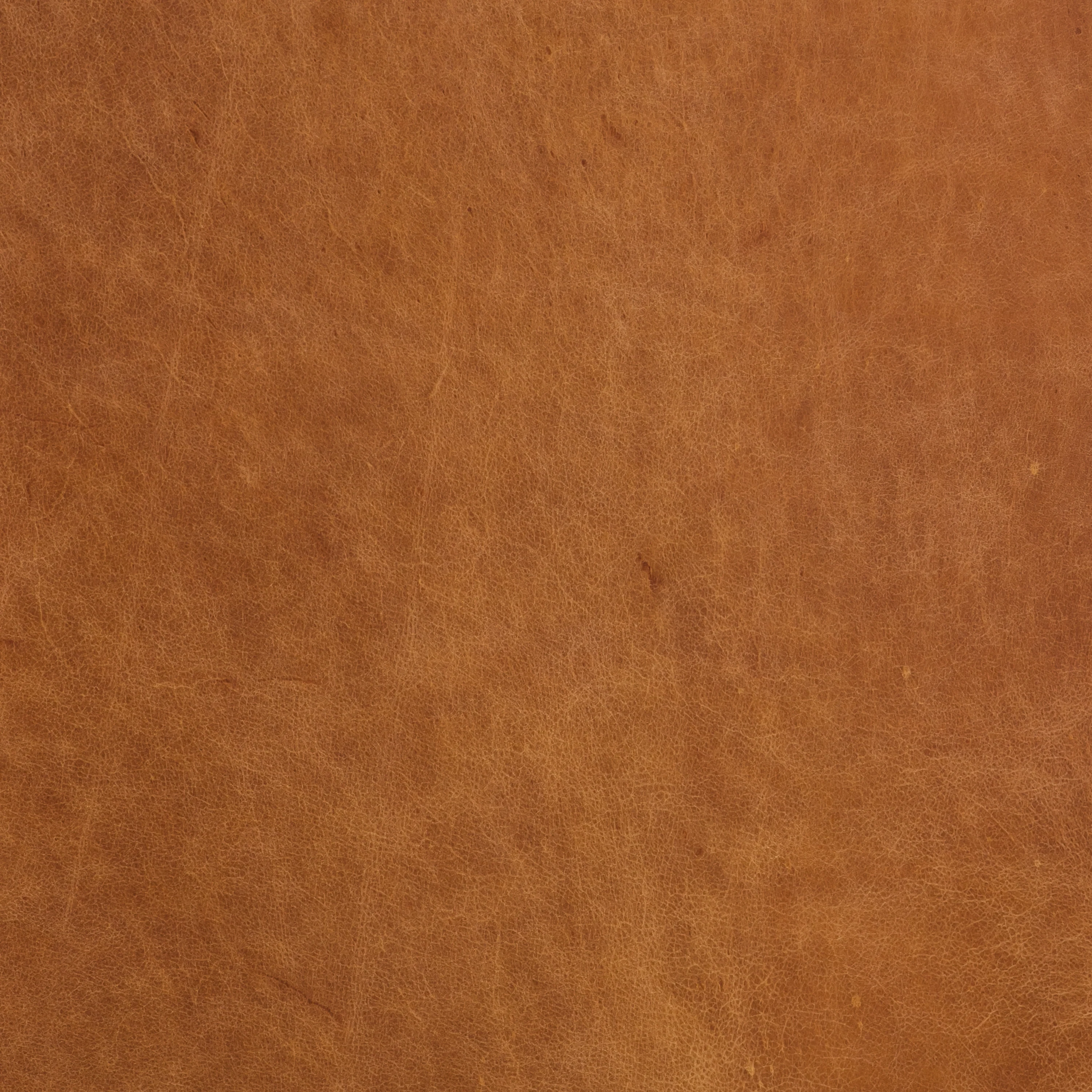 Essex 89" Leather Sofa | Cognac Tan - Image 13