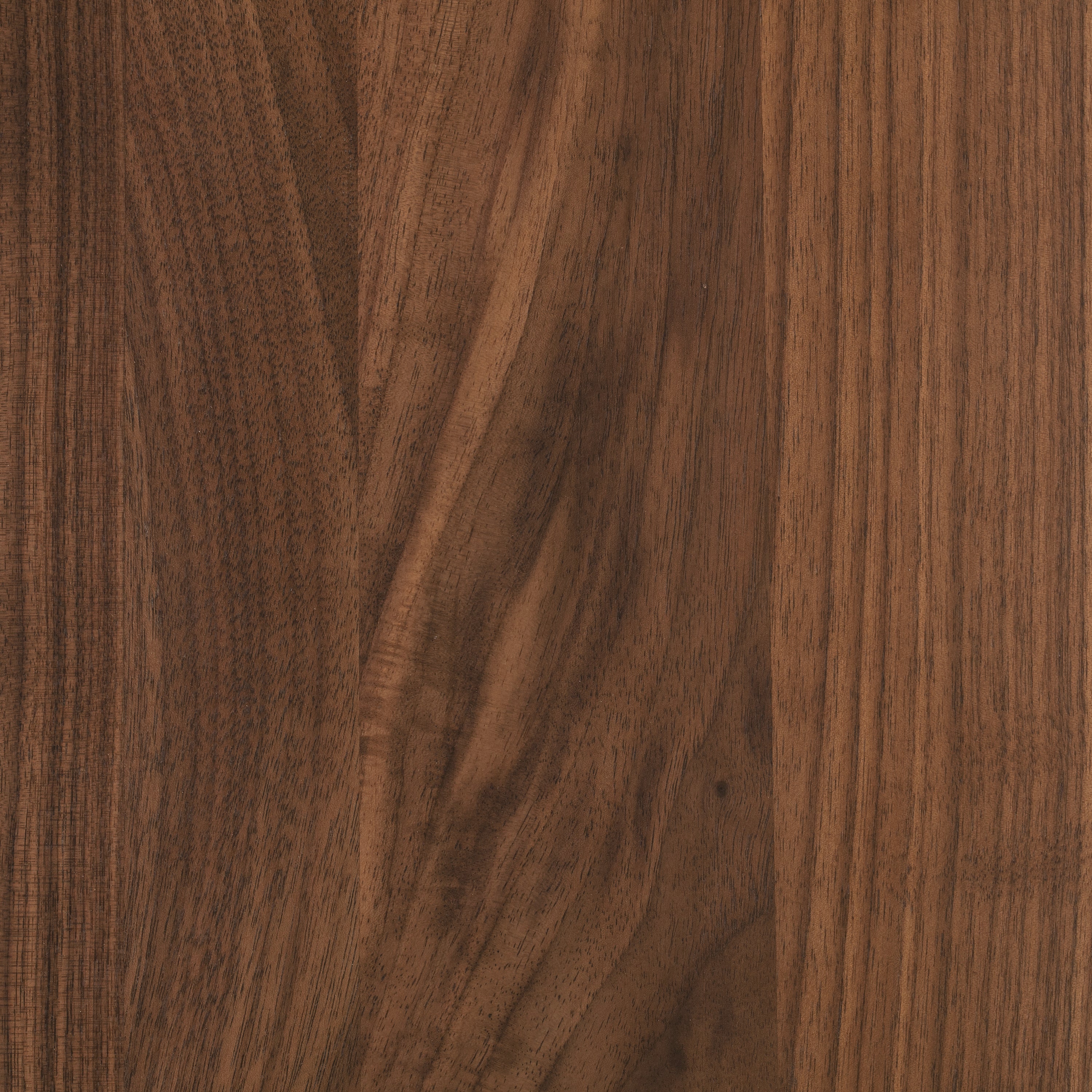 Forma Coffee Table | Walnut - Image 11
