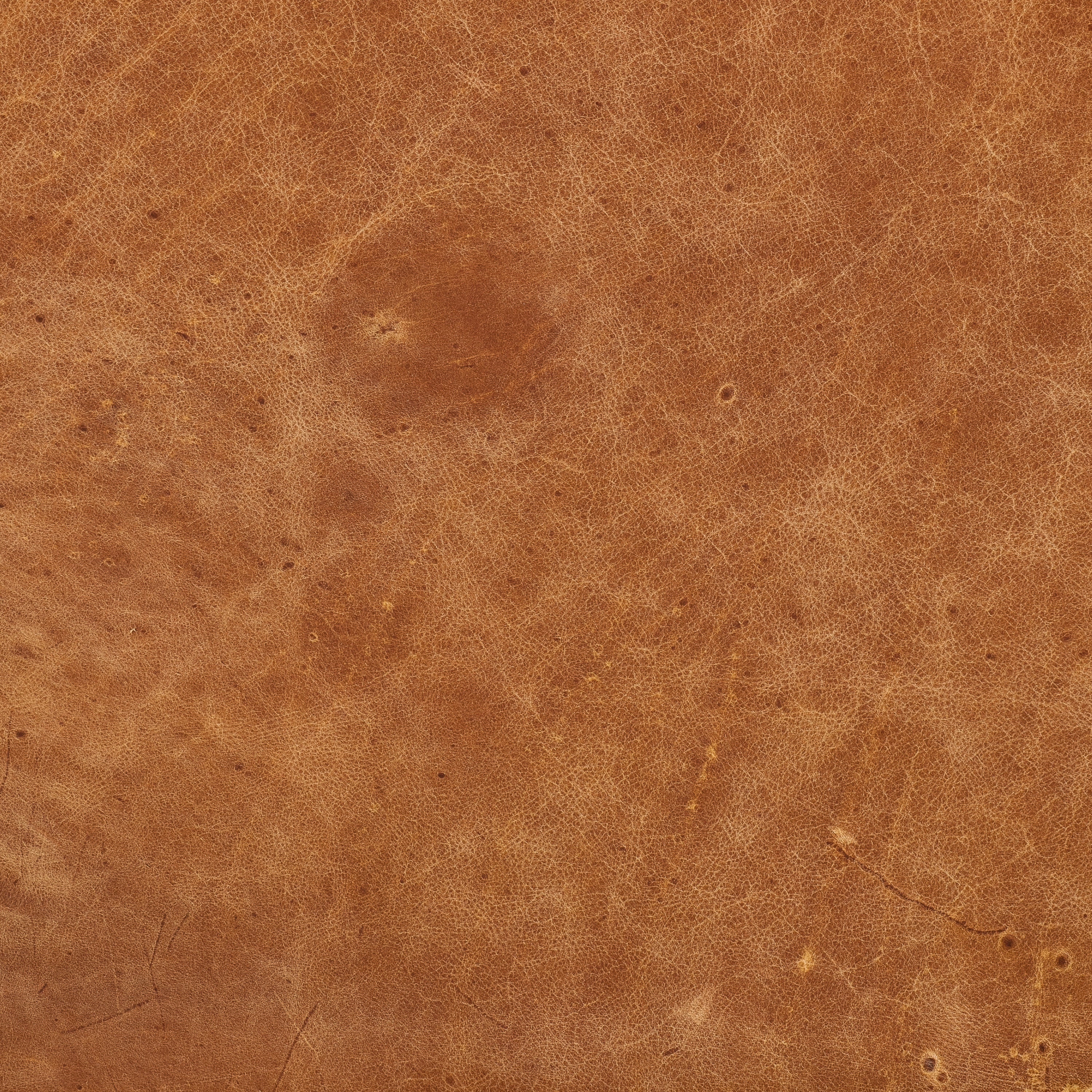 Girona 88" Leather Sofa | Cognac Tan - Image 13