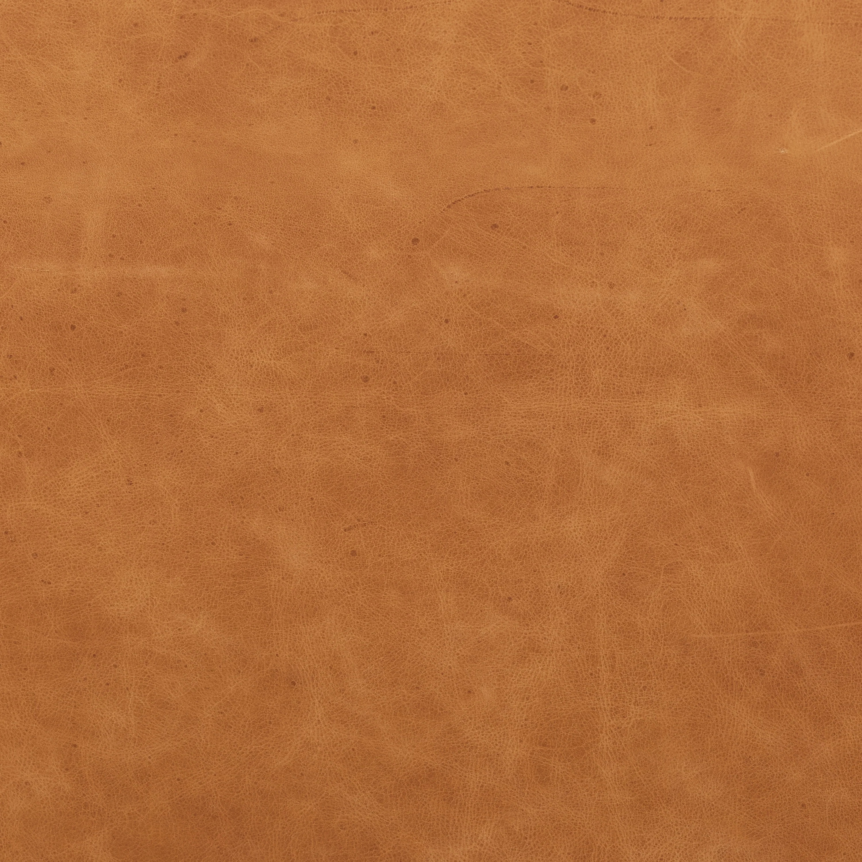 Giza Leather Lounge Chair | Cognac Tan | Single - Image 14