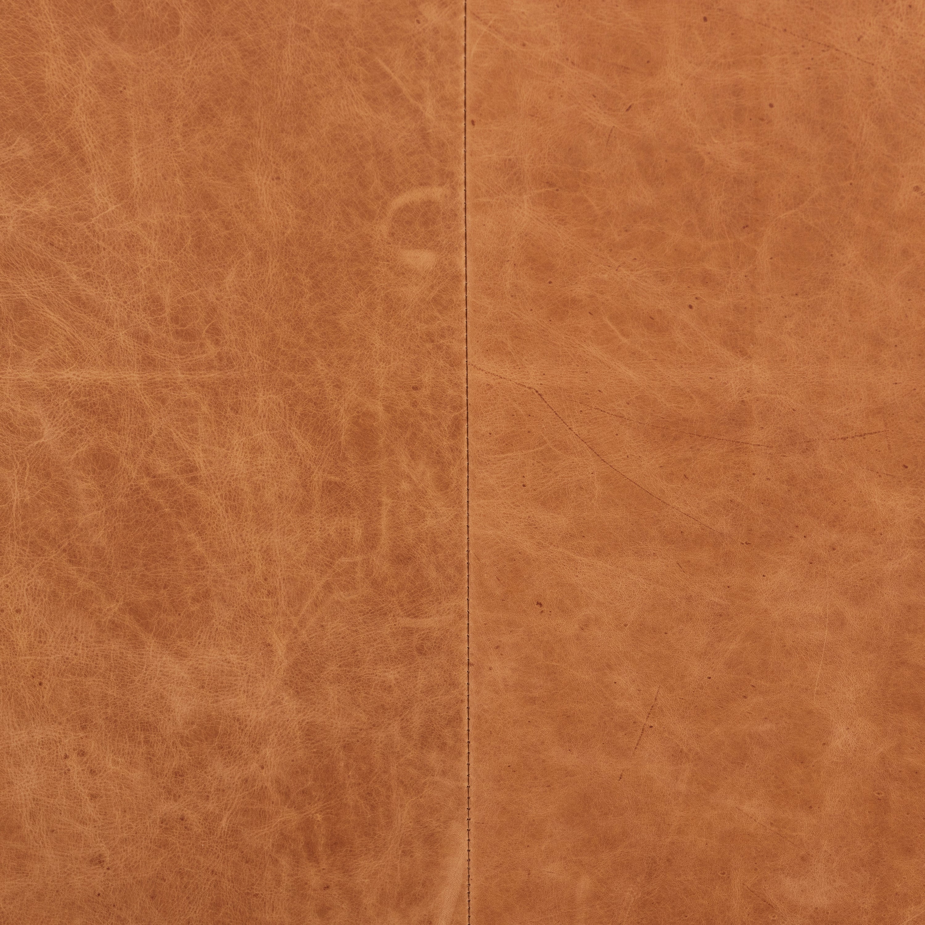 Gus Leather Lounge Chair | Cognac Tan - Image 14