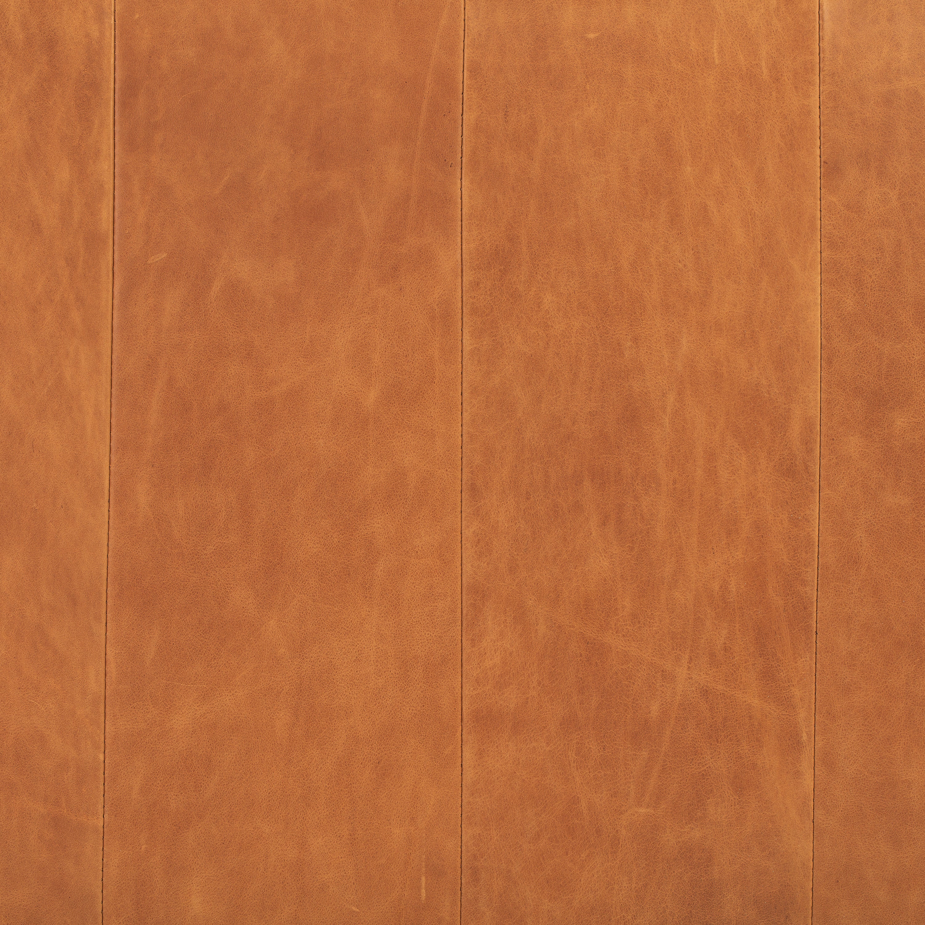 Jasper Leather Daybed | Cognac Tan - Image 14