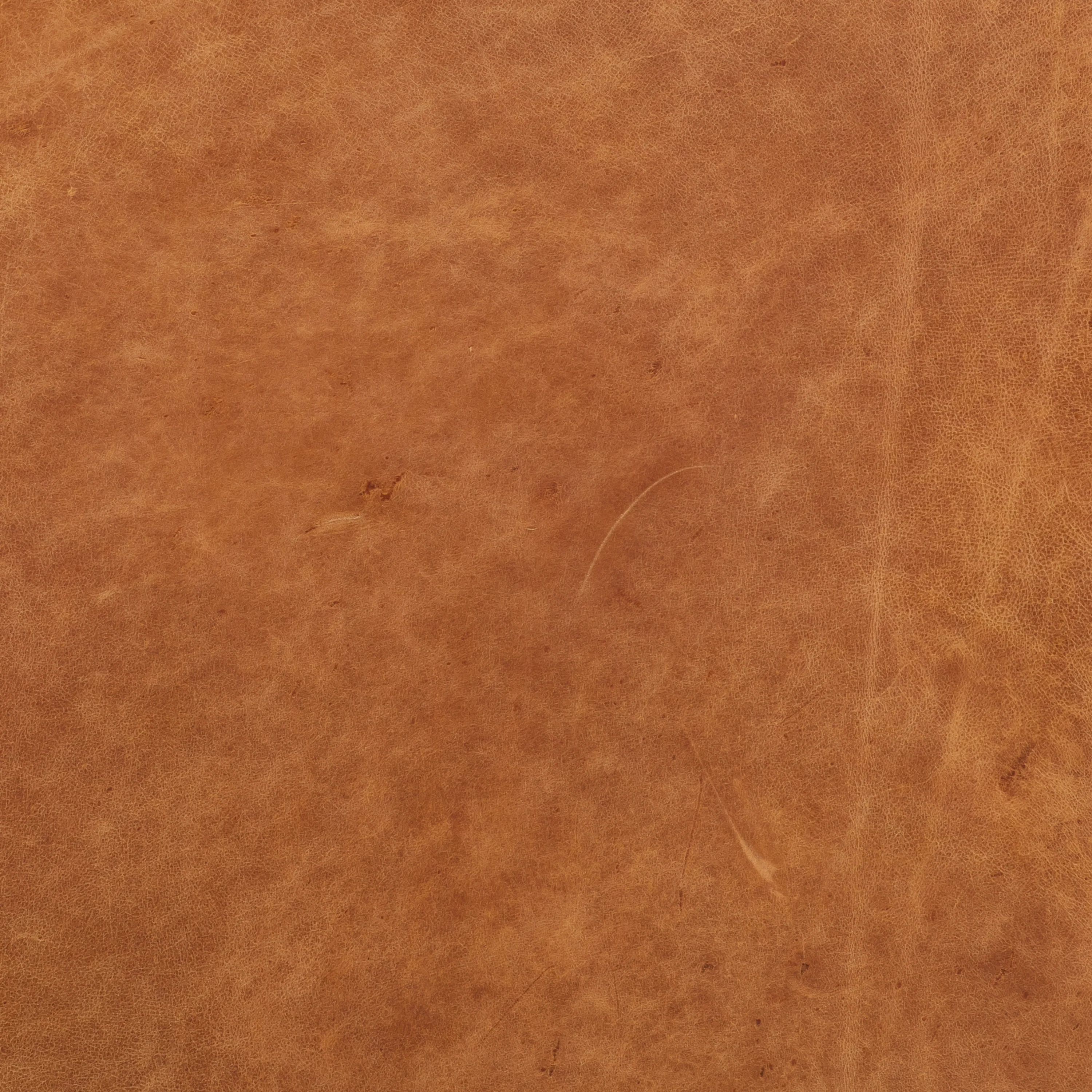 Lyon 87.4" Leather Sofa | Cognac Tan - Image 12