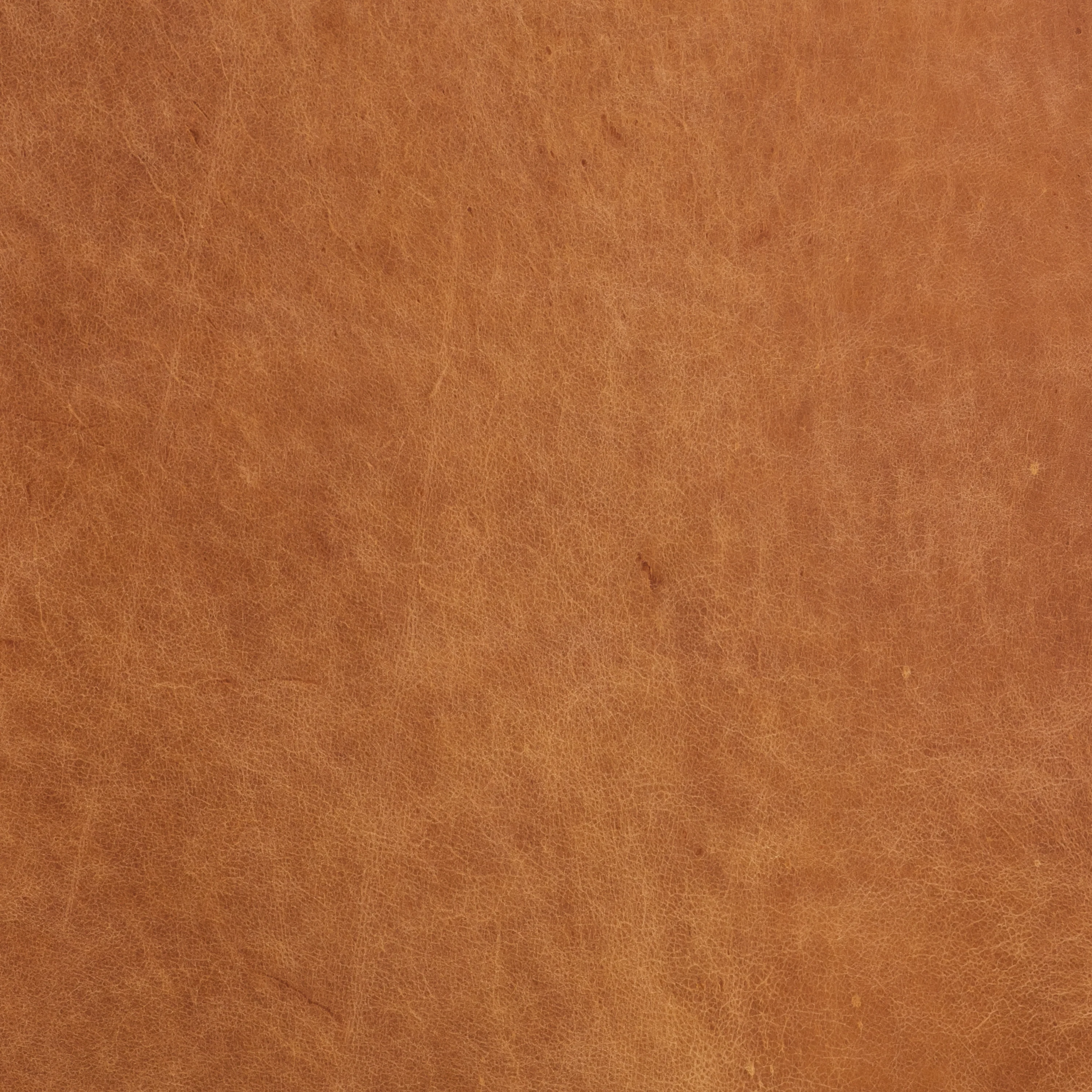 Lyon 87.4" Leather Sofa | Cognac Tan - Image 13