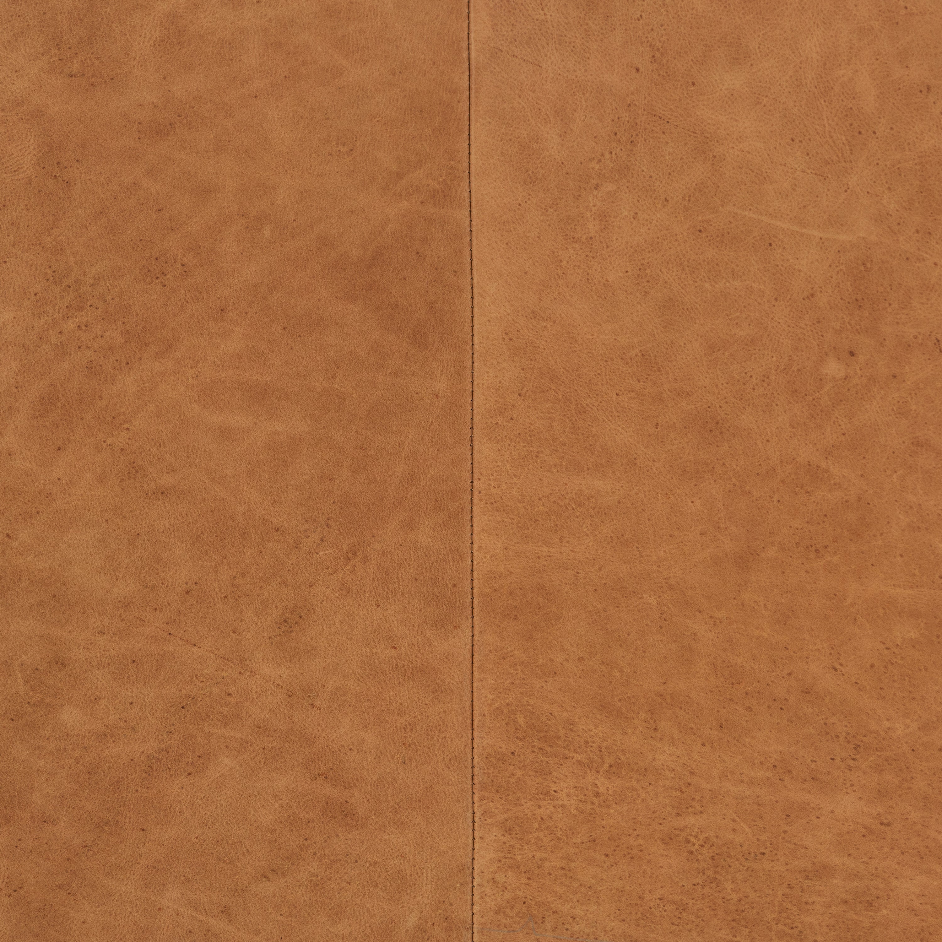 Napa Leather Lounge Chair | Cognac Tan | Set of 2 - Image 12