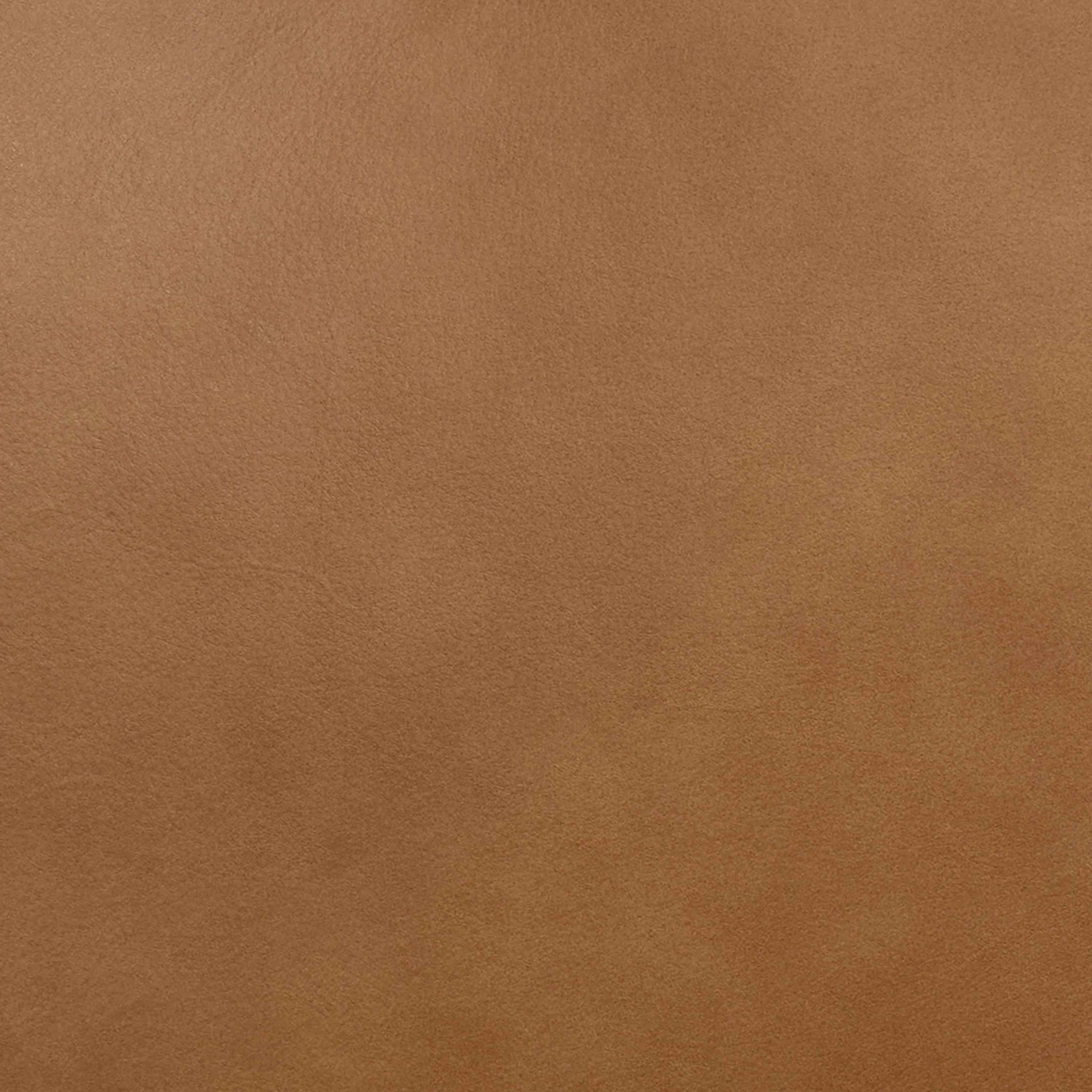 Oliva Leather Dining Chair | Tan/Walnut - Image 13