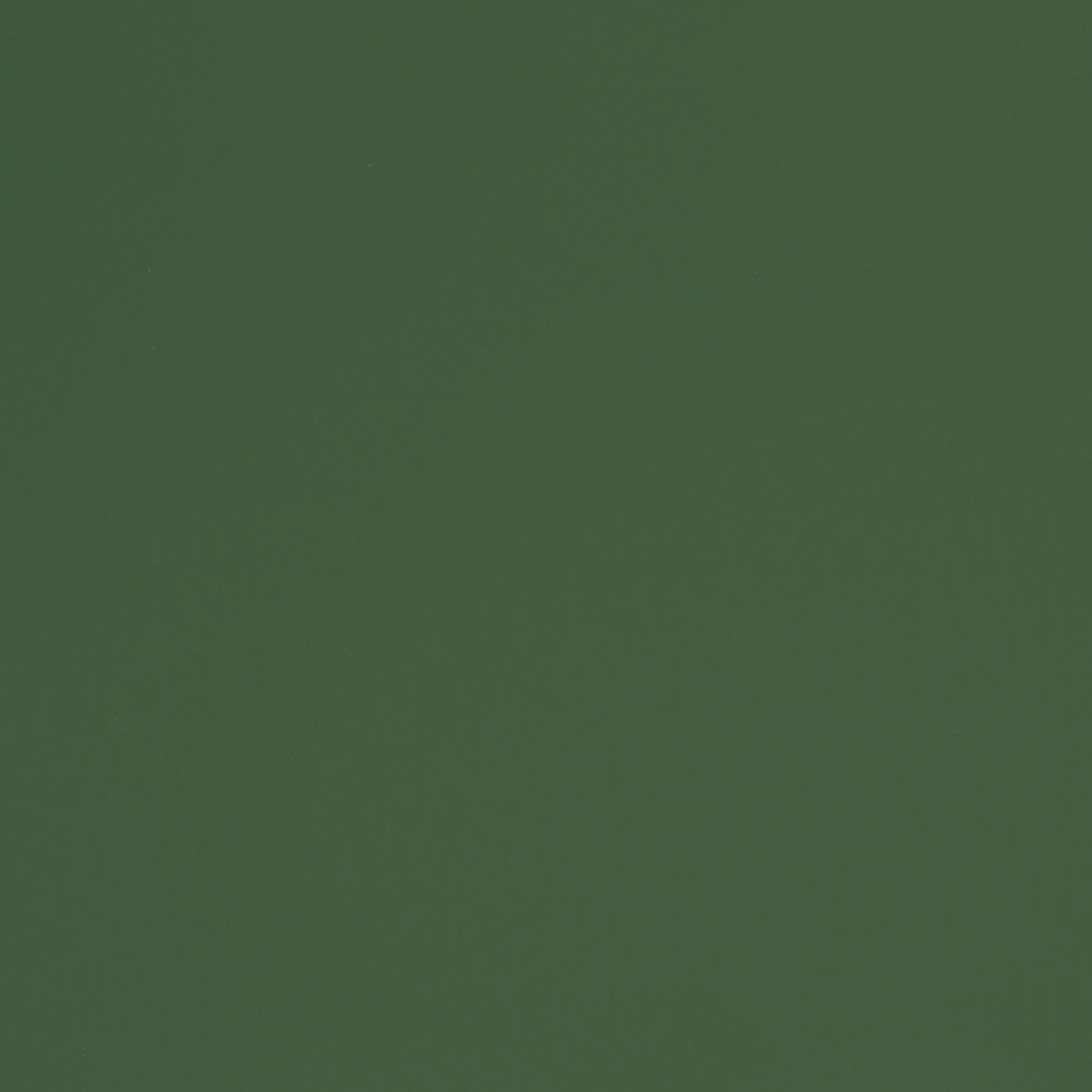 Padua 62" Bookshelf | Basil Green - Image 13
