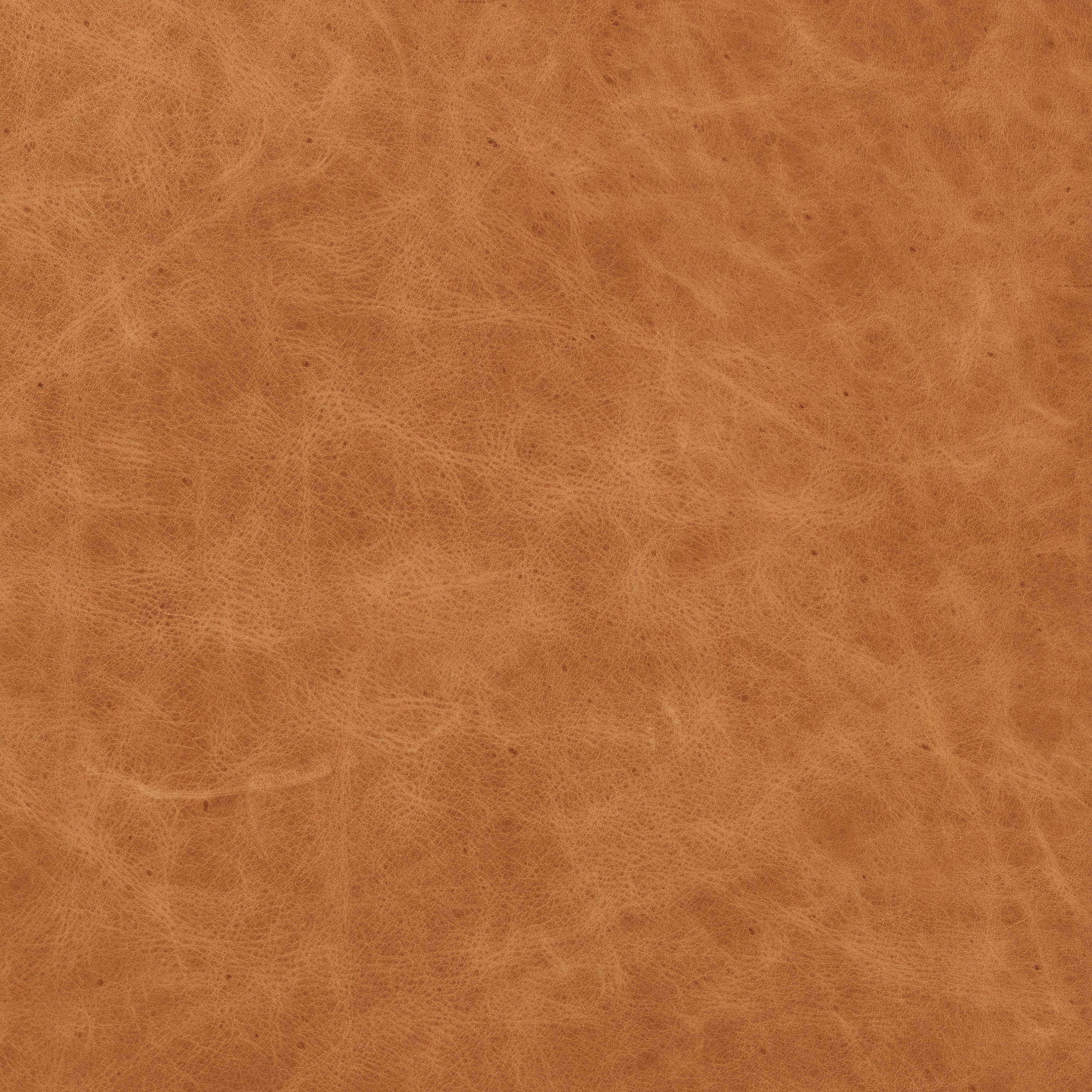 Sorrento Leather Lounge Chair | Cognac Tan - Image 14