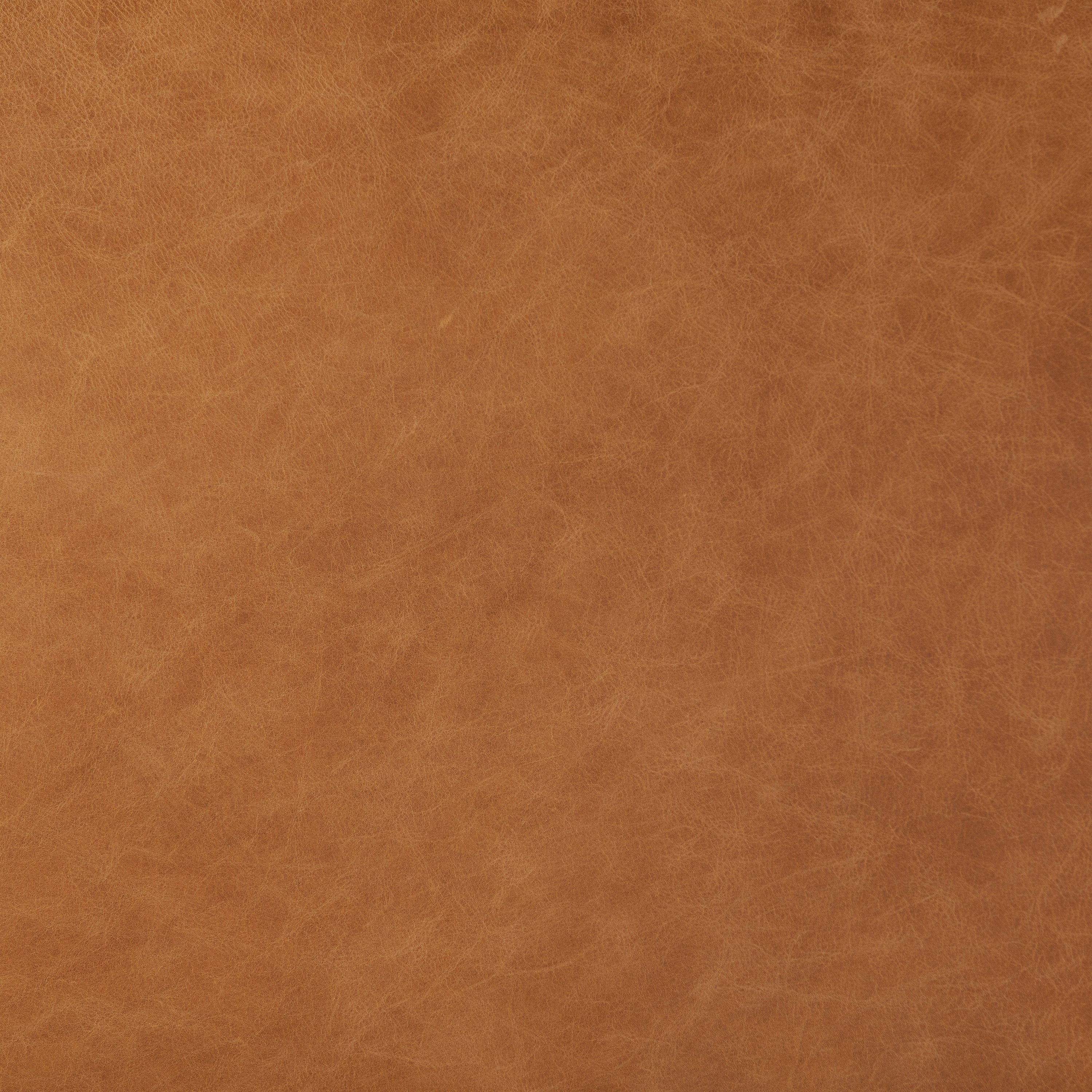 Truro Bed with Leather Cushions | Cognac Tan | Queen - Image 14